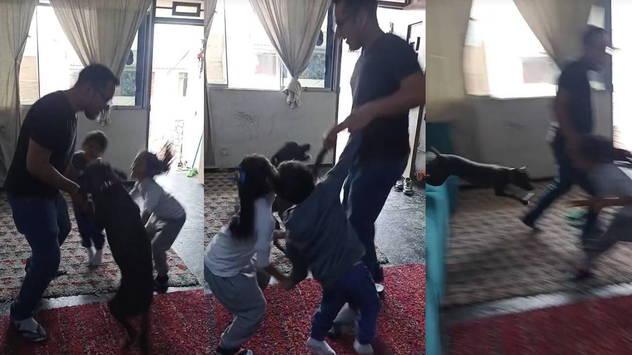 Perrito jugando lobo qué estás haciendo con los niños del hogar. (Foto: composición EC)