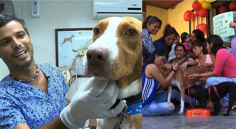 Independencia: Vecinos hacen pollada para perrito con terrible enfermedad