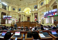 Senado aprueba facultades legislativas: ¿En qué puntos podrá legislar el Gobierno?