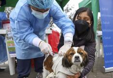 Rabia humana: Minsa informa que casos graves y muertes son prevenibles en un 100%