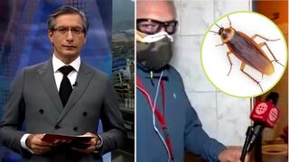 Así reaccionaron Gunter Rave y Federico Salazar cuando vieron una cucaracha en plena transmisión en vivo | VIDEO
