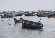 La cruda realidad: ¿Y la Ley de la Pesca Ancestral?