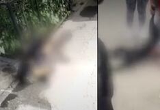 Cercado de Lima: 12 perros murieron tras ingerir comida envenenada dejada en un parque