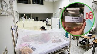 Ministerio de Salud dictó estado de emergencia en Madre de Dios por incremento del dengue