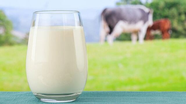 Leche de vaca: razones para dejar de consumirla por sus efectos negativos