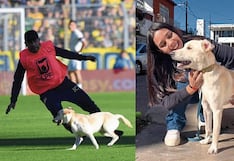 Perrito se mete en cancha y es la estrella del partido en la Primera de Argentina