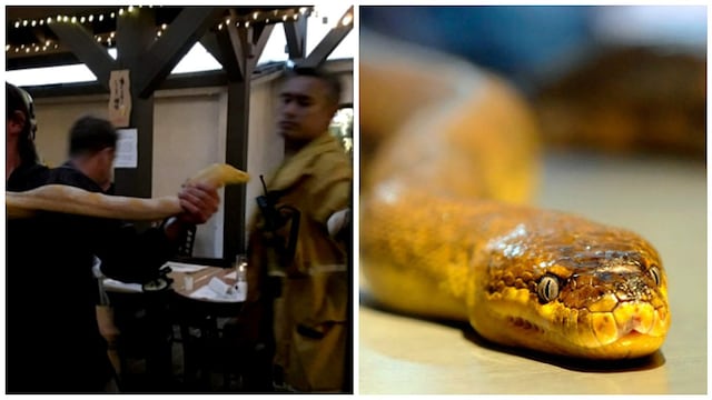 Cliente se enfada y suelta una serpiente gigante en restaurante 