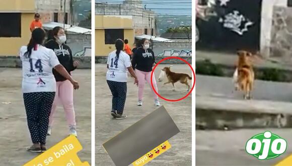 Ojo - Concursaban por un pollo pero alguien más se lo llevó