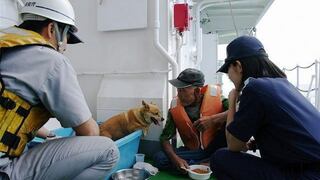 Evacúan de isla hasta a perros por erupción de volcán en Japón