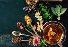 Comer para vivir: Infusiones digestivas tras una comida copiosa