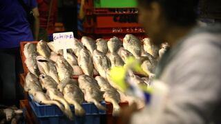 Gran afluencia de público en el terminal pesquero del Callao por Semana Santa | VIDEO