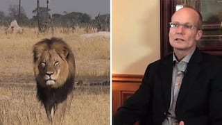 Estadounidense Walter Palmer mata al león Cecil y jura estar arrepentido