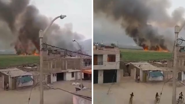 Denuncian que empresa quema caña de azúcar en Trujillo sin pensar en la salud de los vecinos (VIDEO)