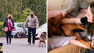 Una chica y su perro protagonizan conmovedor video viral en TikTok
