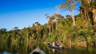 Reserva Nacional Tambopata: Conoce este privilegiado destino turístico que recuperó 700 especies nativas