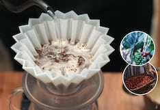 Café nacido en territorio Ashéninka apunta al mercado mundial