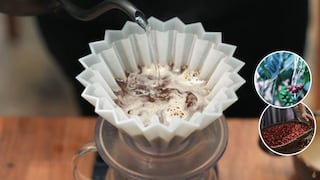 Café nacido en territorio Ashéninka apunta al mercado mundial