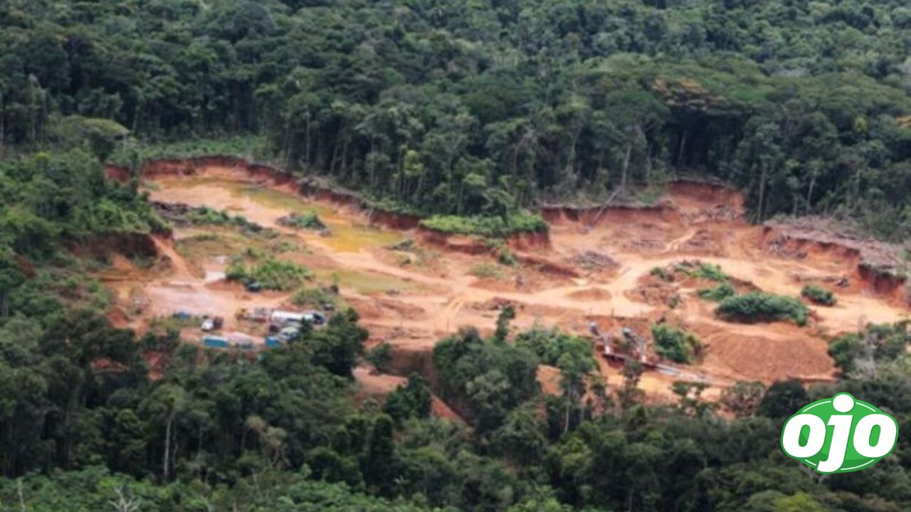 Deforestación en los bosques amazónicos.
