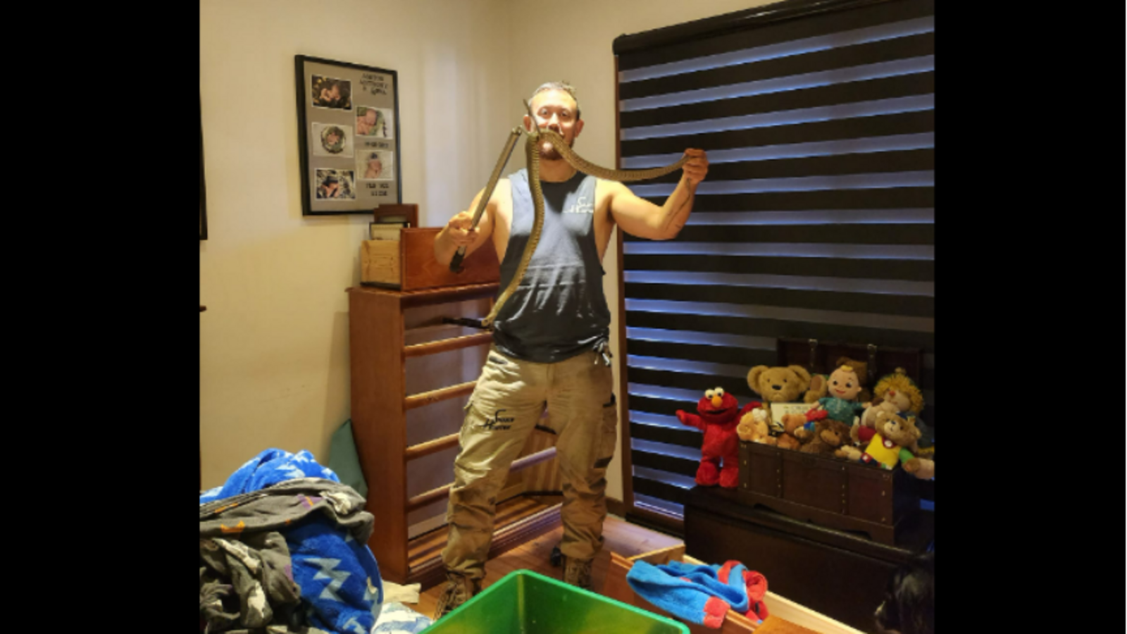 Mark Pelley atrapó a la serpiente en el cuarto de un niño.