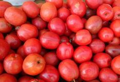 Comer para vivir: Propiedades de la ciruela criolla peruana