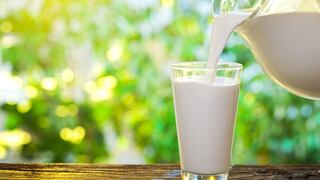 Comer para vivir: ¿Por qué la leche de vaca es una de las mejores fuentes de proteína?