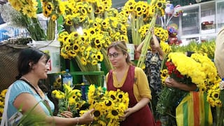 Regalarán flores amarillas por la llegada de la primavera