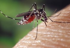 “No hay estrategia contra el dengue”