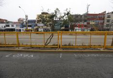 Gran Parada y Desfile Cívico Militar: Lotizan avenida Brasil para alquilar espacios