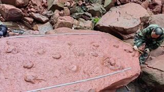 Niño jugaba junto a un río y descubre huellas de dinosaurios diferentes juntos