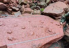 Niño jugaba junto a un río y descubre huellas de dinosaurios diferentes juntos