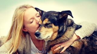 5 beneficios de las mascotas para la salud
