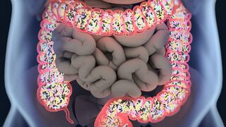 Comer para vivir: Microbiota intestinal, un mundo que cuida tu salud