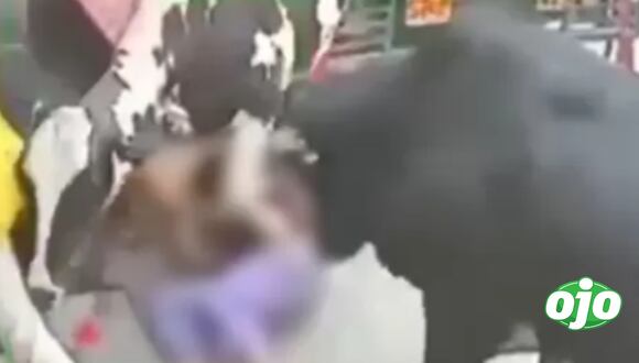India: Vacas embistieron a dos jóvenes en calle