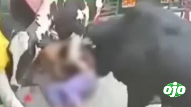 India: Vacas embistieron a dos jóvenes en calle (VIDEO)