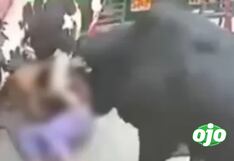 India: Vacas embistieron a dos jóvenes en calle (VIDEO)