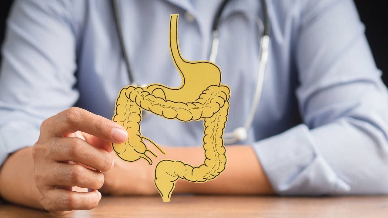 Esta barrera se forma por la colonización a lo largo de la vida por diversos microorganismos, en su mayoría bacterias de diferentes cepas.