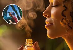 ¿Cómo influyen los aromas de la naturaleza en nuestro bienestar?