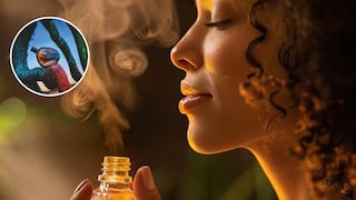 ¿Cómo influyen los aromas de la naturaleza en nuestro bienestar?