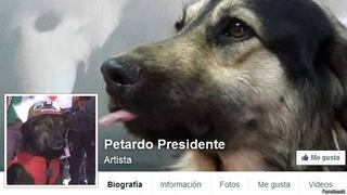 Perro mestizo revolucionario tiene miles de seguidores en Facebook 