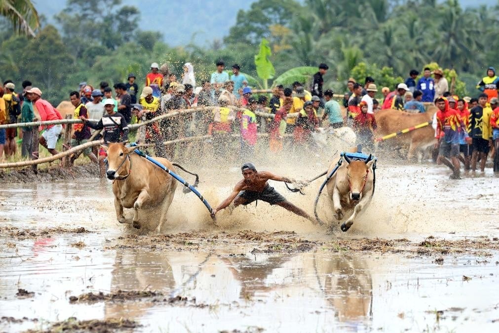 Correr con los toros es algo bastante arriesgado.