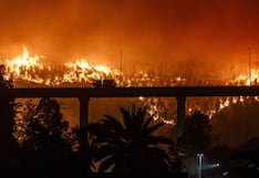 Columna Javier por el mundo: Emergencia forestal