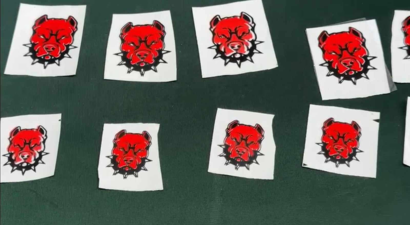 A los agraviados les colocaban en las lunas de sus vehículos stickers con la imagen de un perro pitbull.