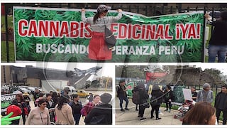 Aceite de cannabis: marchan a favor del uso medicinal de la marihuana (VIDEO)