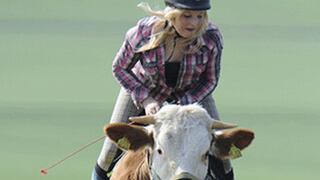 Mujer practica equitación sobre una vaca 