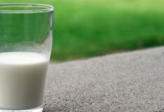 Comer para vivir: Beneficios de consumir leche a diario