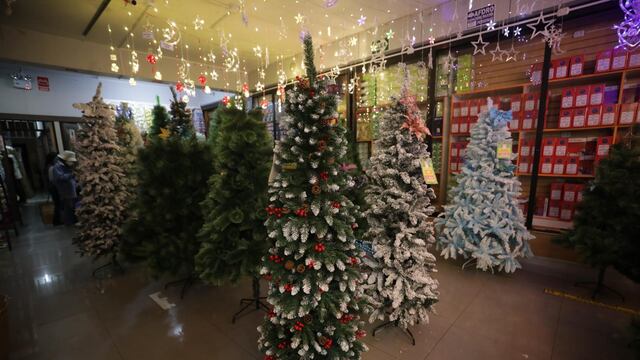 Navidad llegó a Mesa Redonda: árbol cadavérico da la hora en ferias
