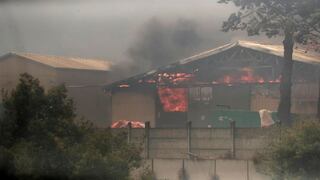 Chile: Al menos 99 muertos dejan incendios devastadores 