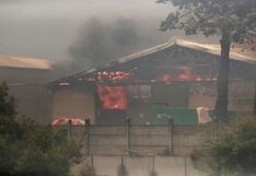 Chile: Al menos 99 muertos dejan incendios devastadores