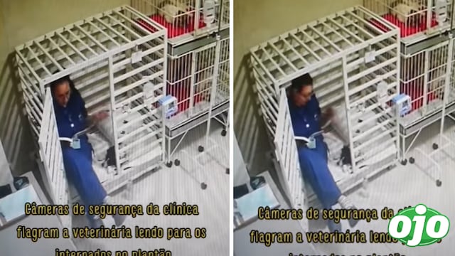 Tierna veterinaria es captada leyendo cuentos a perrito para que se recupere | VIDEO