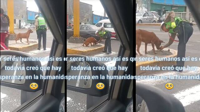 “Hay esperanza en la humanidad”: policía de tránsito le da comida a un perrito callejero y escena conmueve en redes